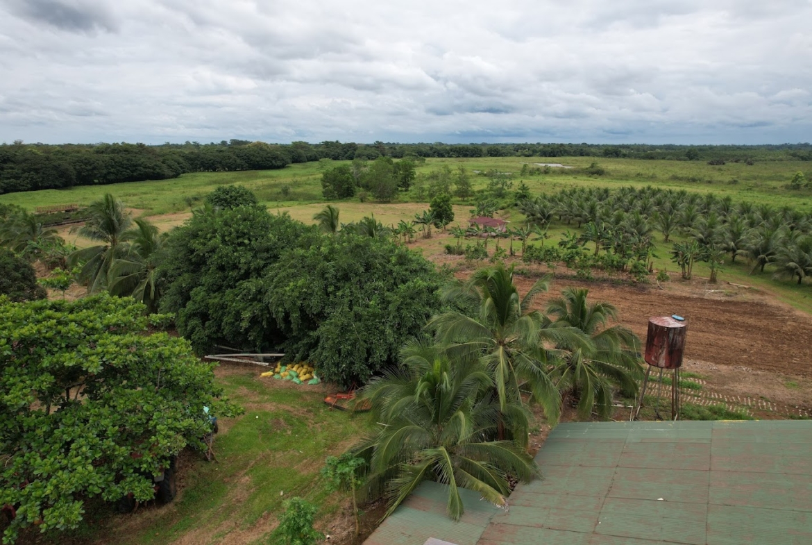 Fincas en San Carlos